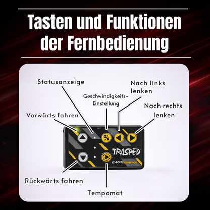 Mini RC Formel-1 Rennwagen