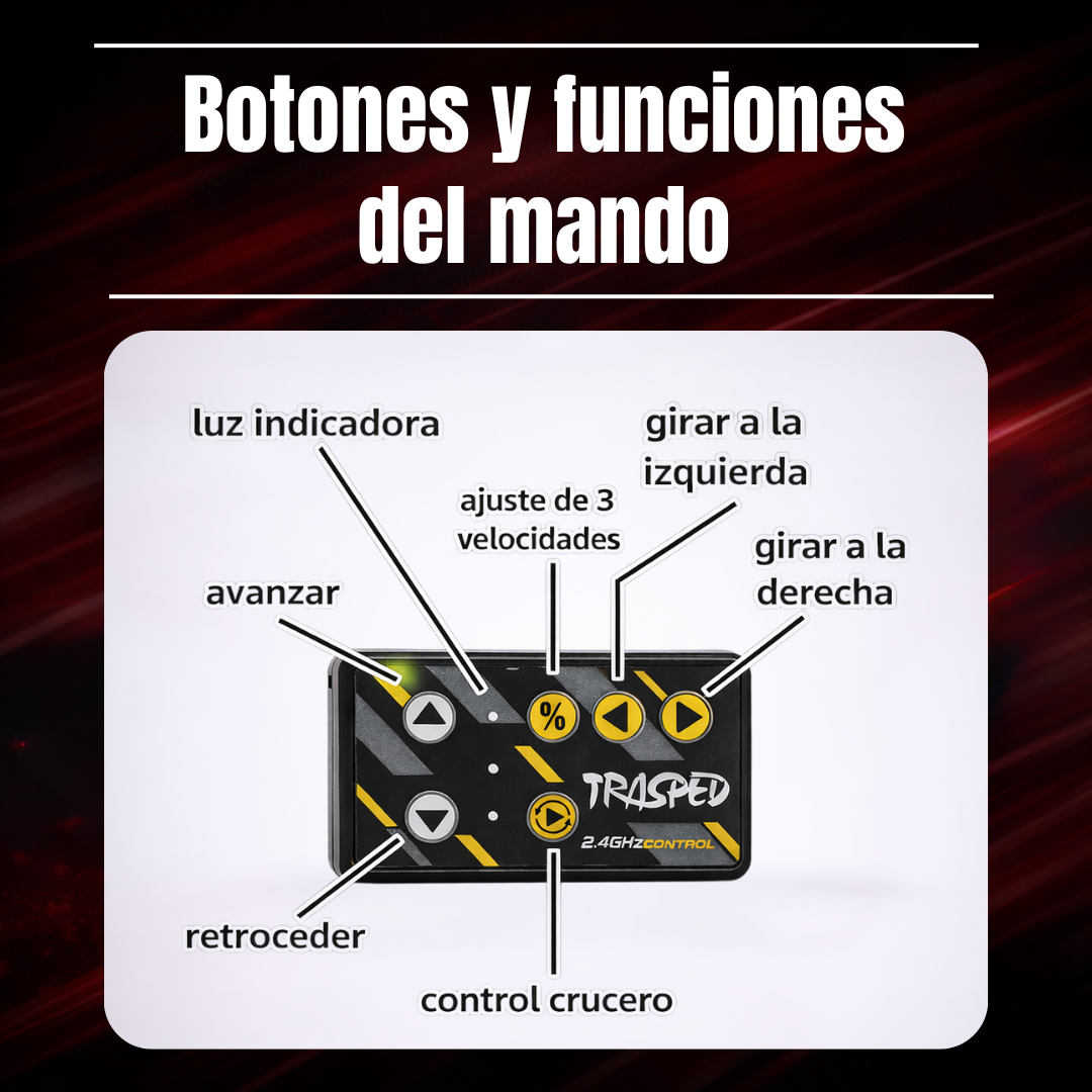 Mini Coche Radio Control Fórmula 1